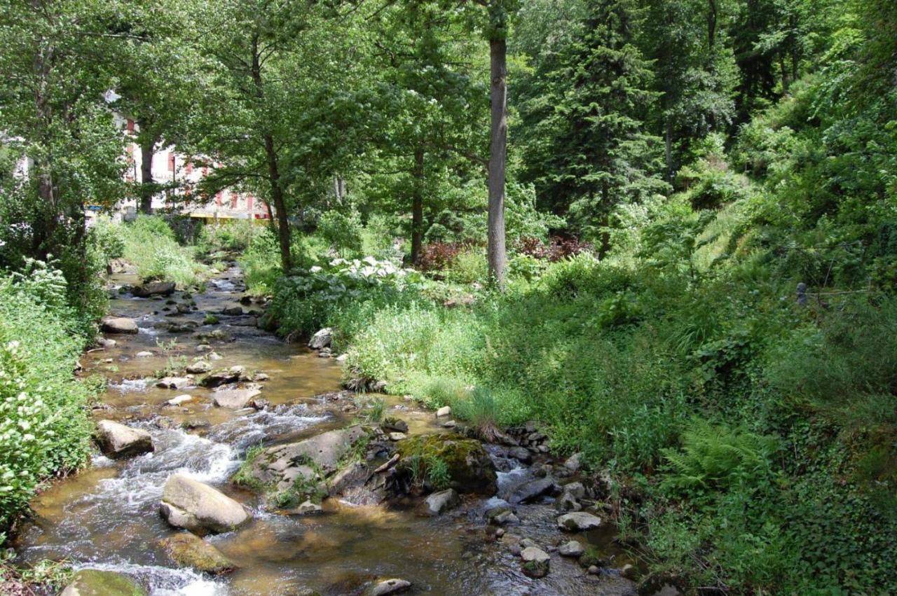 Notre-Dame D'Escouloubre Sources D'Eaux Chaudes Privees Et Sauna Exteriör bild